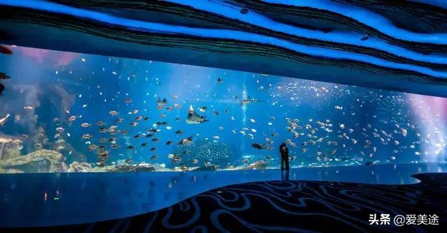 珠海长隆旅游公寓,珠海横琴长隆旅游度假公寓门票