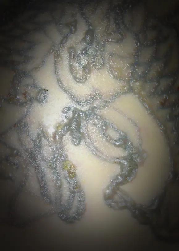 洗纹身到底能不能洗干净,洗纹身能不能彻底洗干净