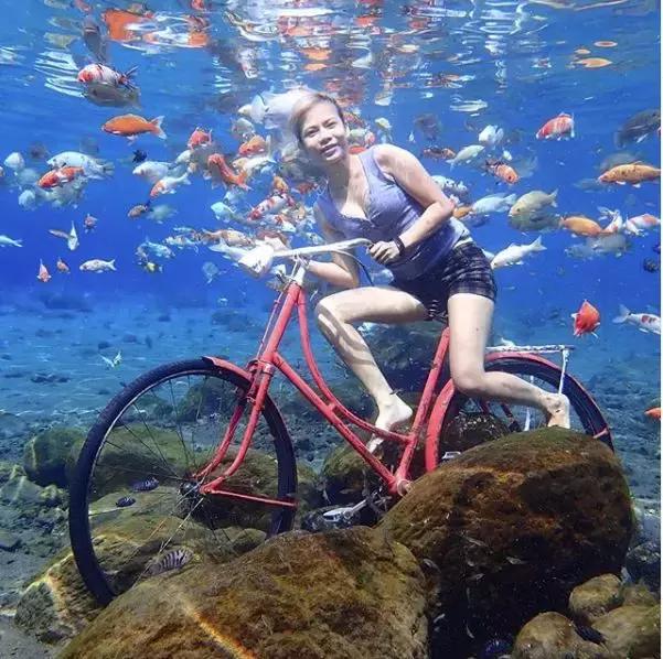 乡下小池塘,乡村里面的小池塘