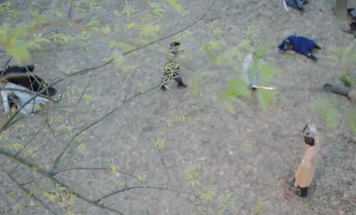 花不弃18集剧情,花不弃17集剧情