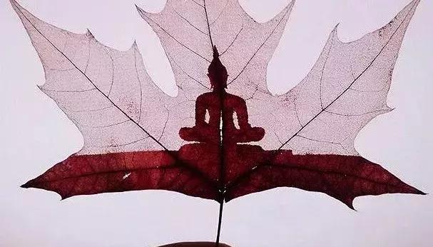 一个人出去有点无聊,一个人出去玩无聊吗