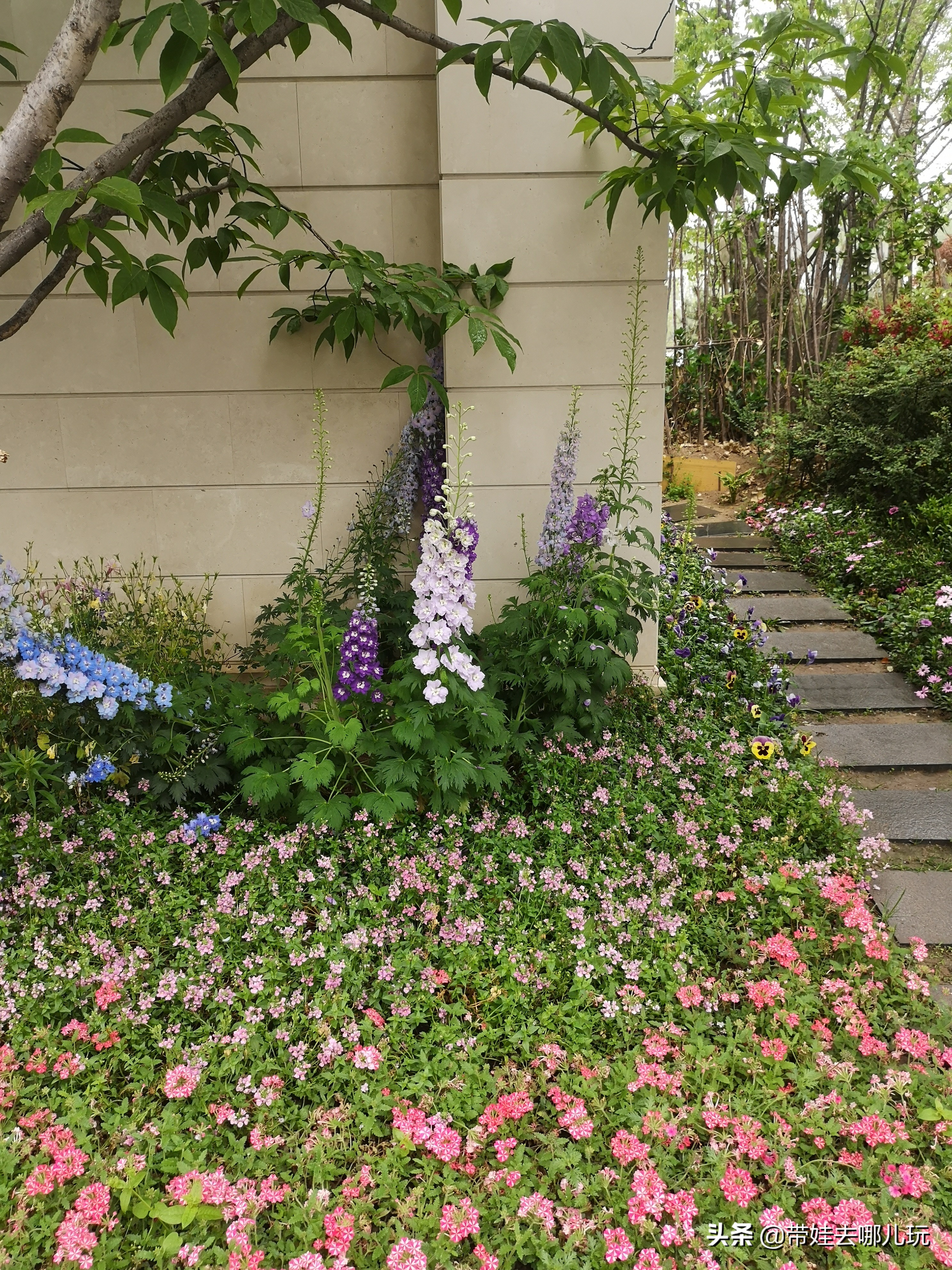 海德公园参观,北京的海德公园