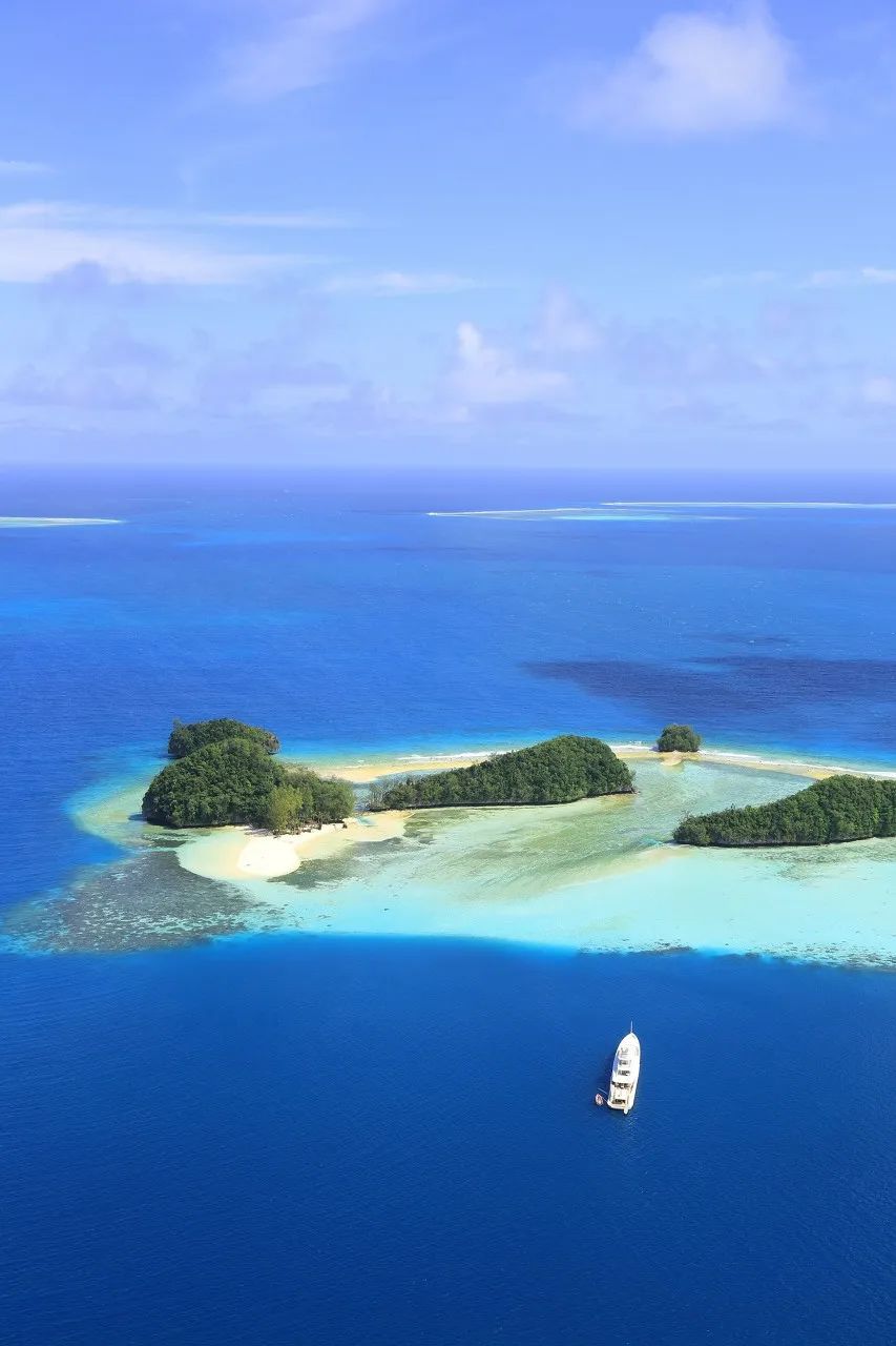 潜水圣地推荐帕劳,帕劳潜水旅游攻略