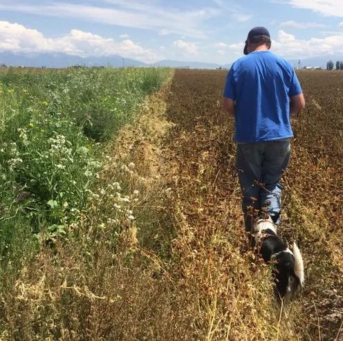 鍐滄皯鎬庢牱鎷晳鍐滀笟,濡備綍鎷晳鍦熷湴