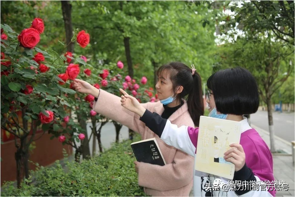 关于绵阳中学实验学校,2020绵阳中学实验学校