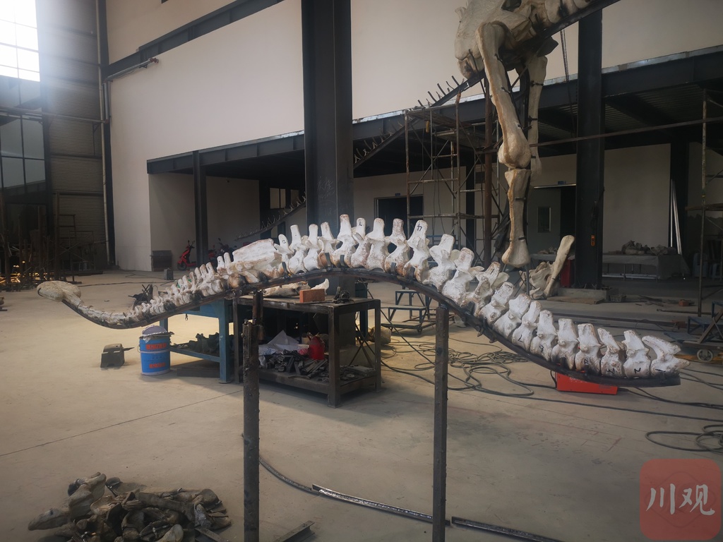 参观恐龙化石博物馆意义,上海有恐龙化石的博物馆是哪个