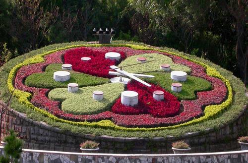 五一草花摆放的图片,春天常见的40种花图片