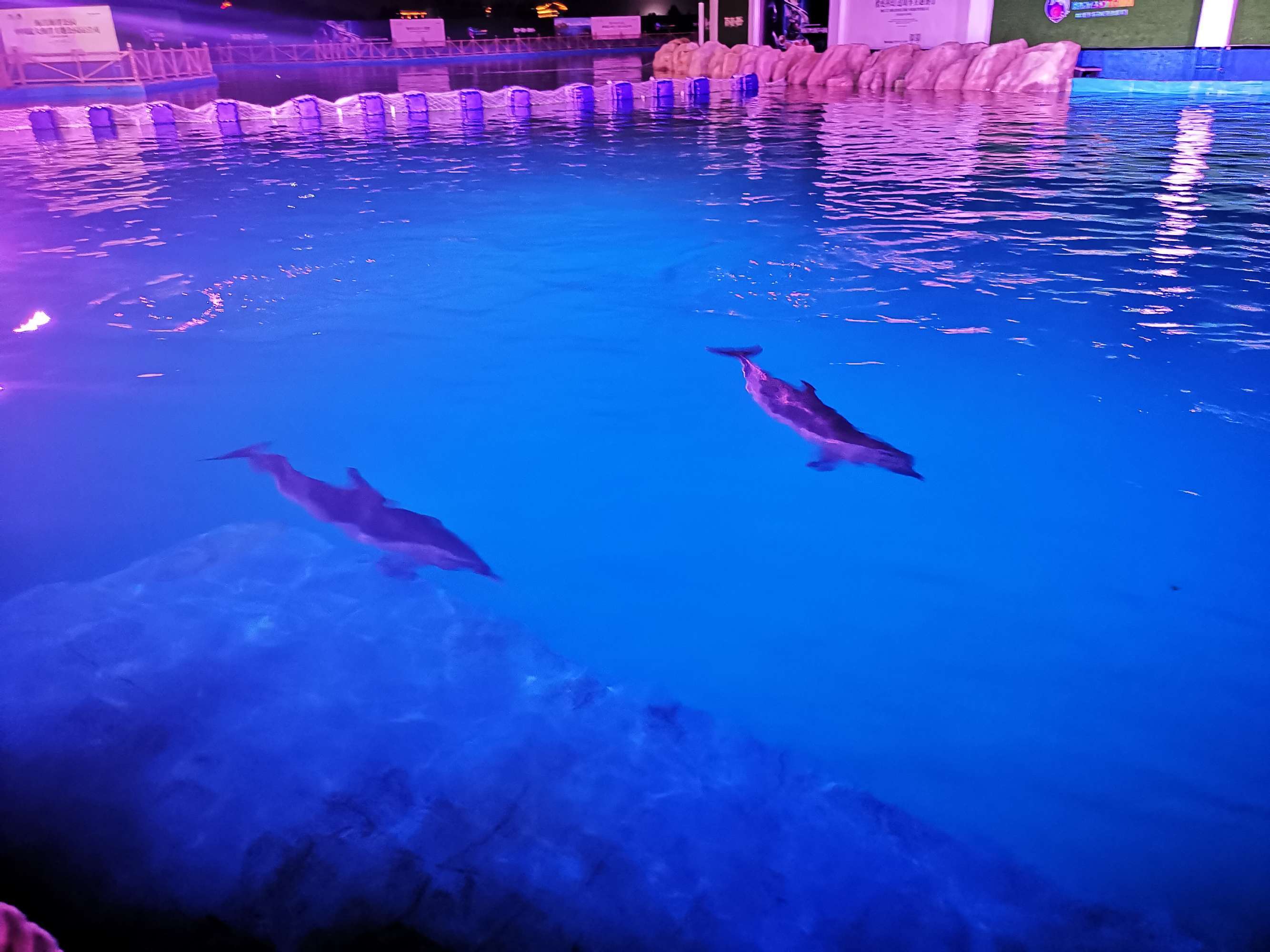 中国最大马尔代夫蜈支洲岛,中国马尔代夫蜈支洲岛视频