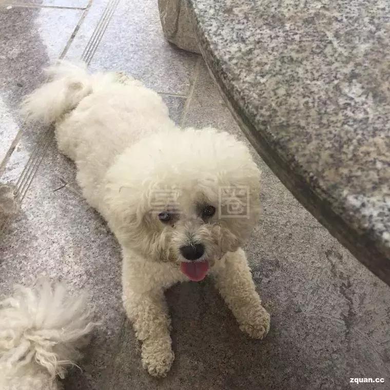 阿克苏农林牧副渔转让,阿克苏本地找工作58同城最新招聘