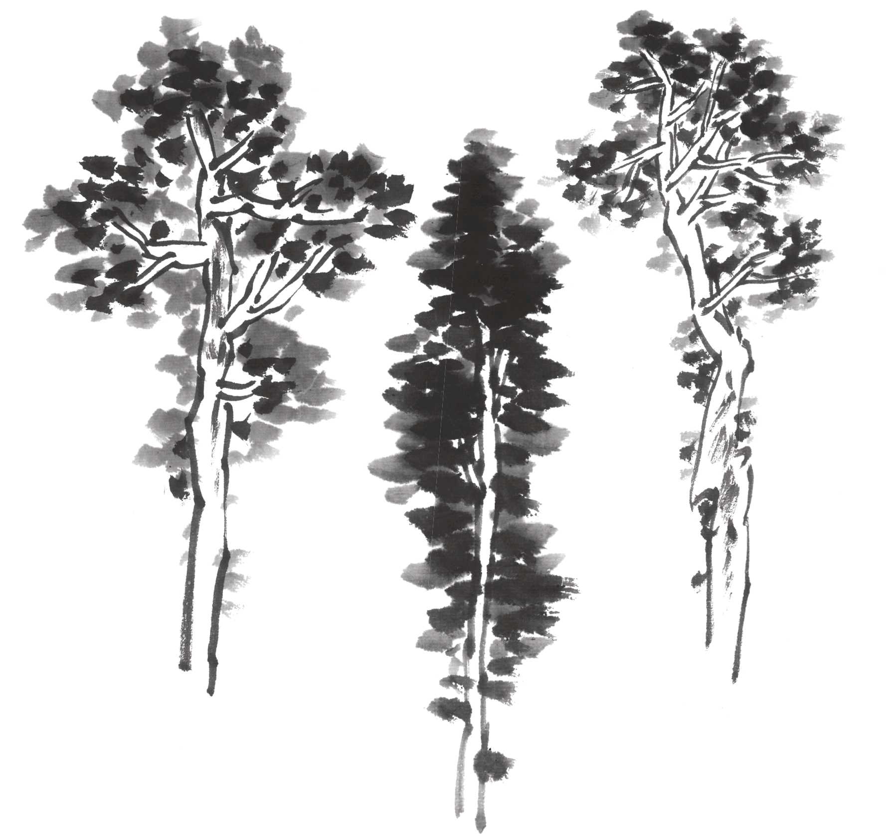 国画雪景树的画法技巧步骤,国画杂树与山石的画法图片