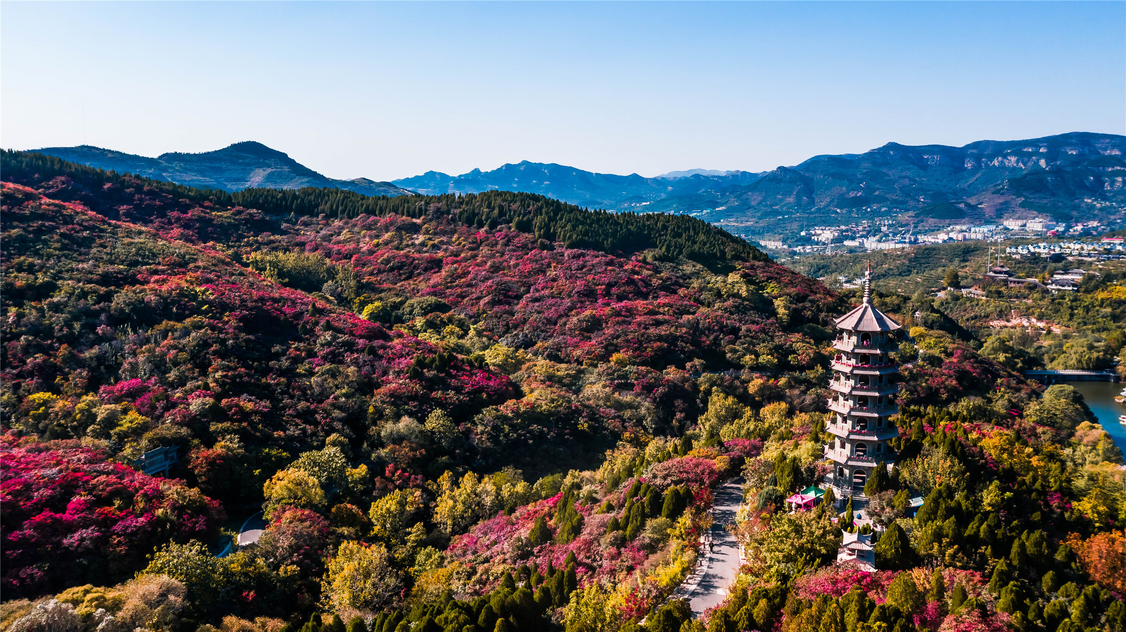 济南红叶谷赏红叶的最佳时间,济南红叶谷今年最佳观赏红叶时间