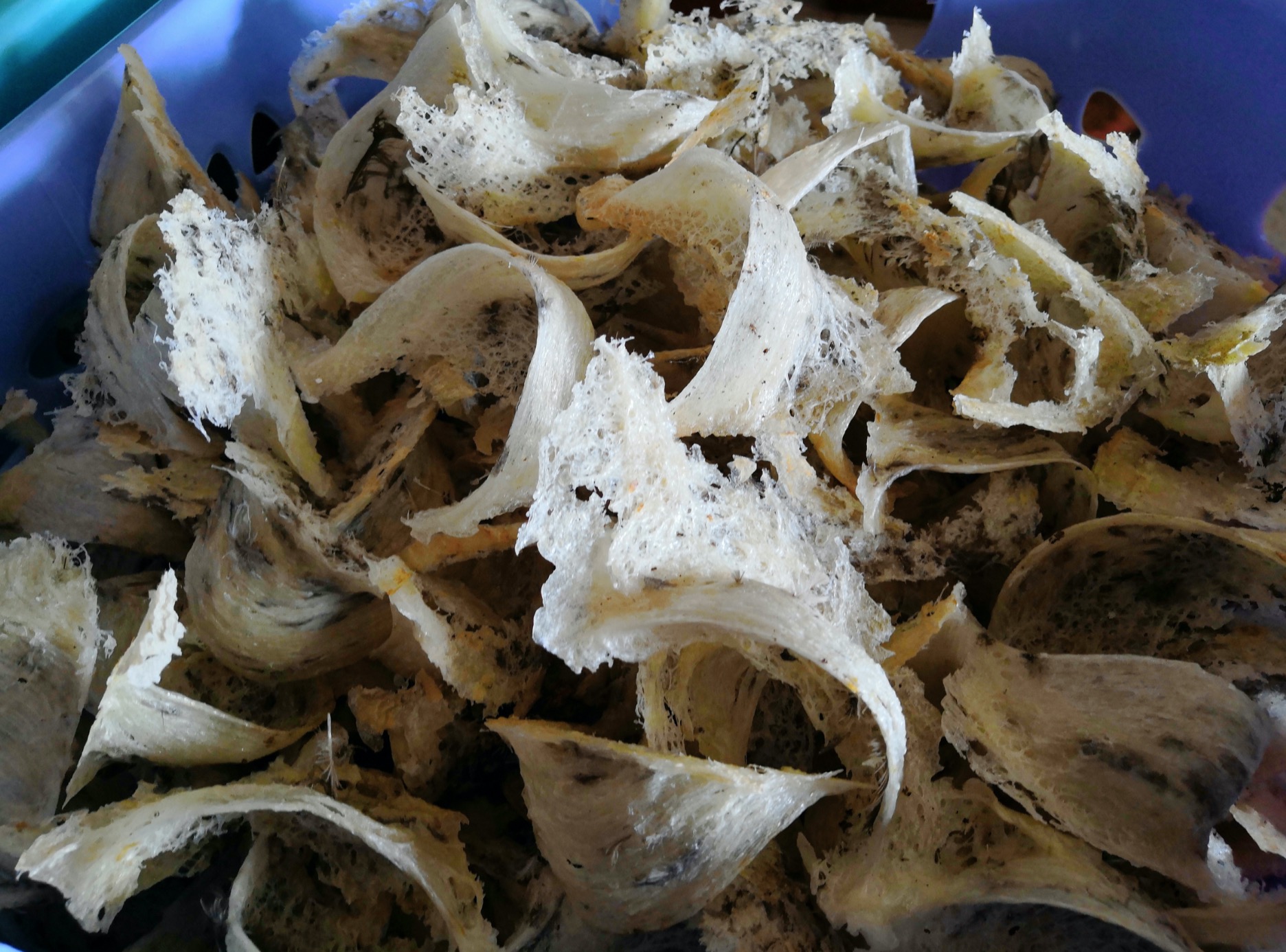 老婆怀孕了我在外地没人照顾,老婆怀孕我去外地出差