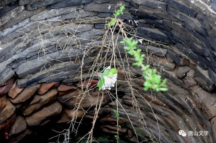 一曲不朽的赞歌,不朽的赞歌