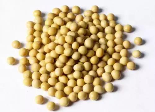 毛囊浅易脱发什么原因,毛囊需要什么营养才长头发