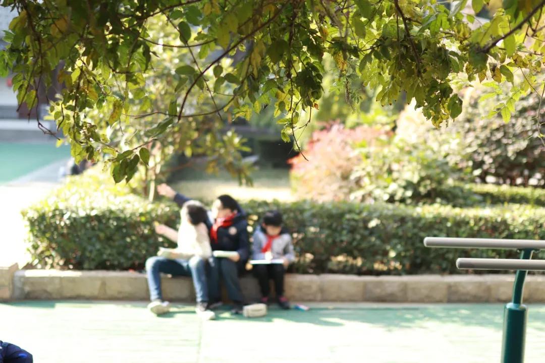 最美的风景美丽的校园,最美的风景就是校园