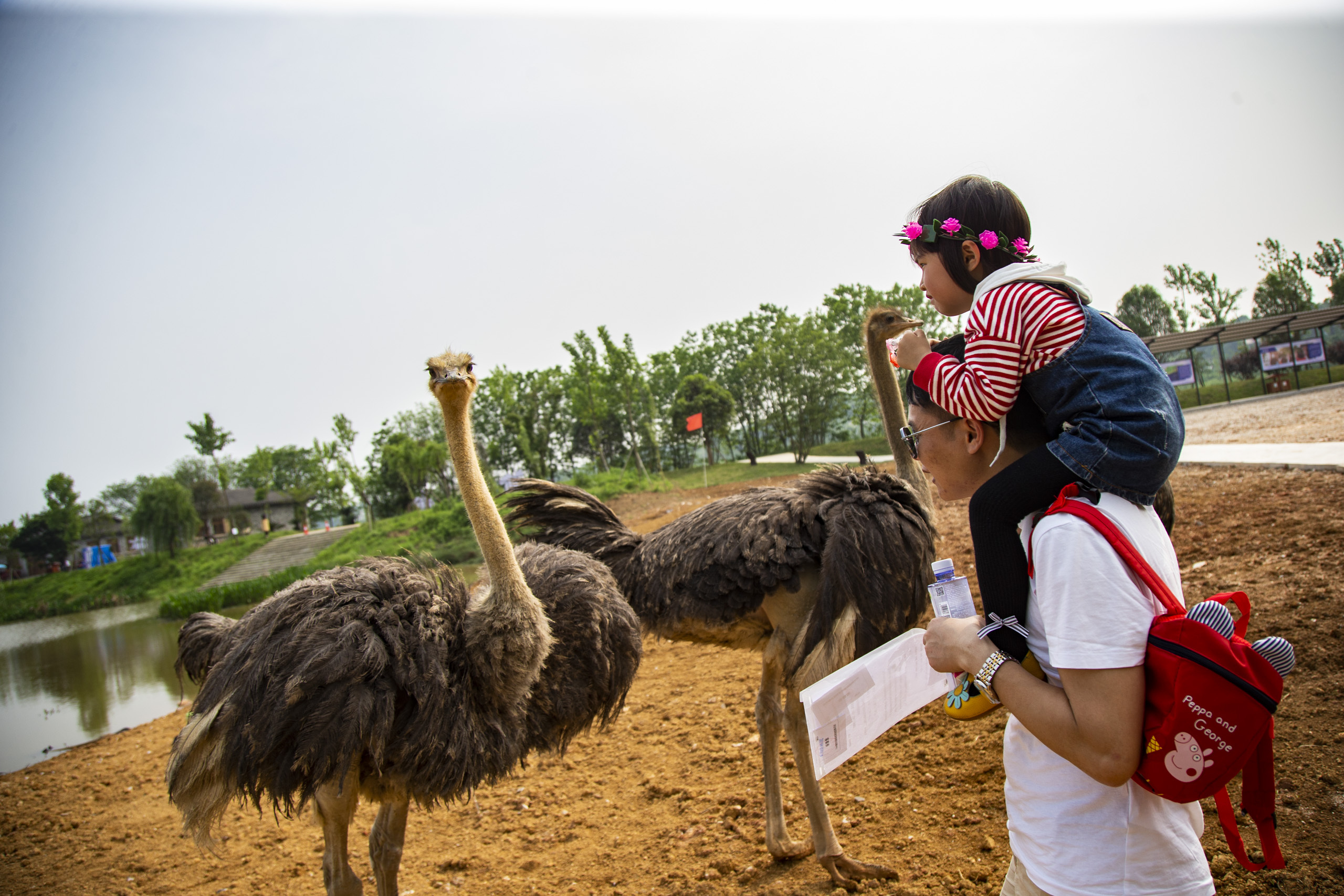 长沙洋沙湖,长沙洋湖附近游玩
