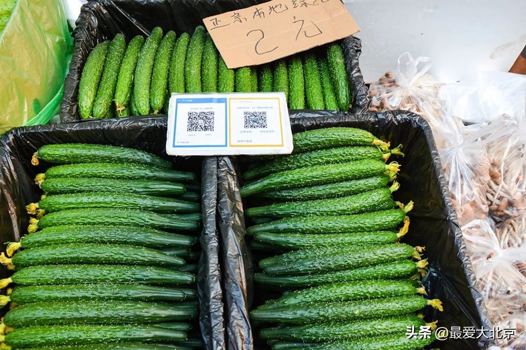 带你逛北京最大早市,北京正宗早市推荐