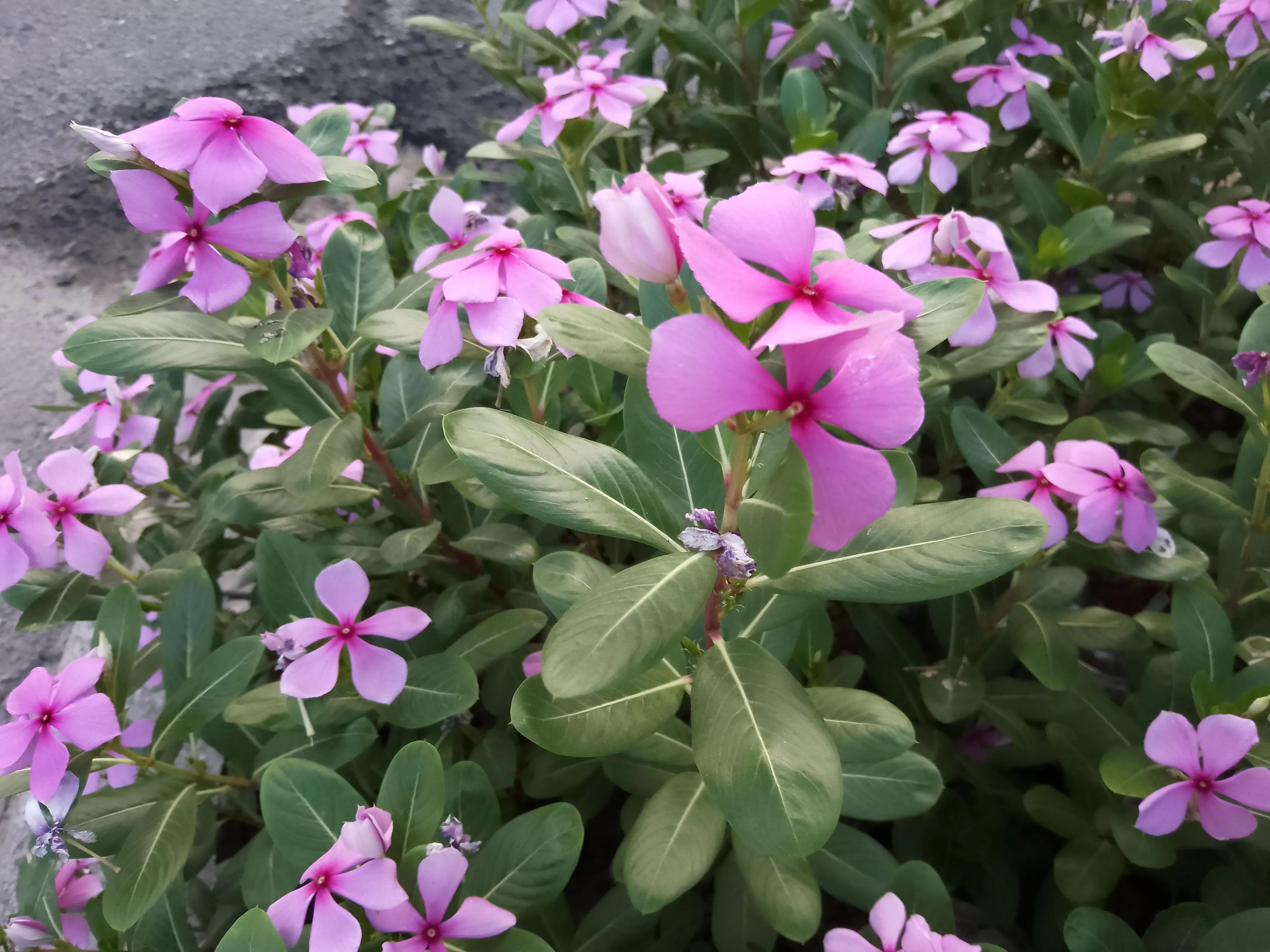 如何用一句话形容生产,怀孕到生产的辛苦与喜悦