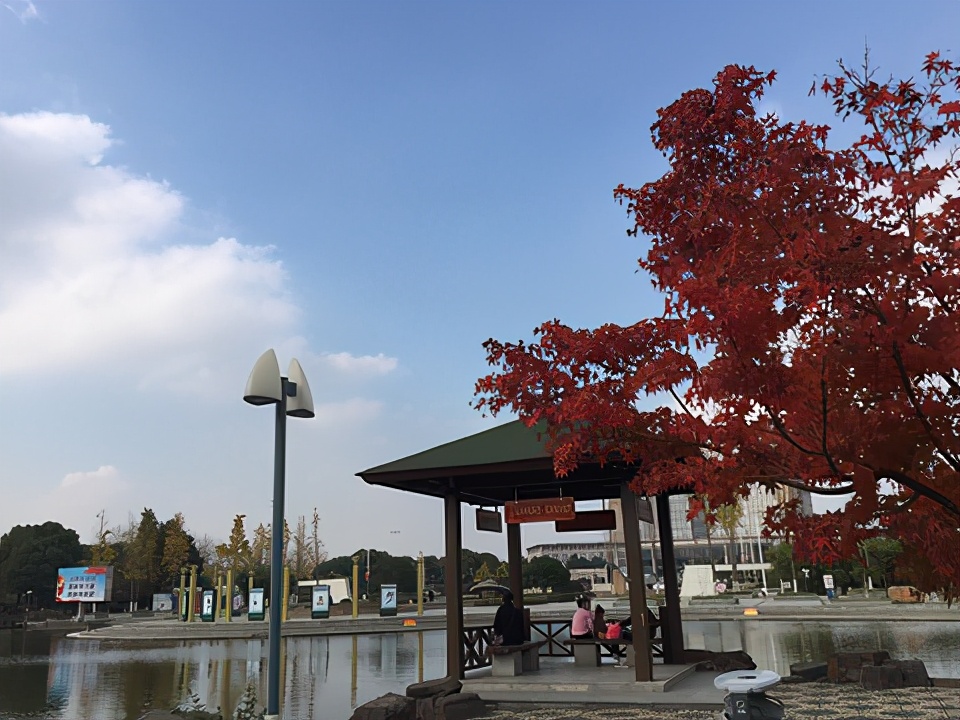 泰州有什么好玩的旅游景点推荐,泰州市有什么旅游景点吗