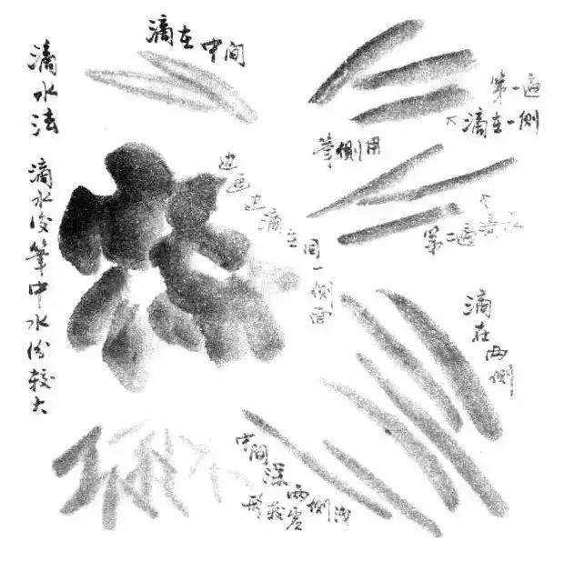 写意花鸟配景石的画法,干货写意花鸟类的画法