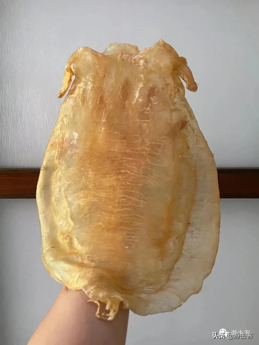 一个鱼胶可以做成鱼胶吗,好的鱼胶和便宜鱼胶区别