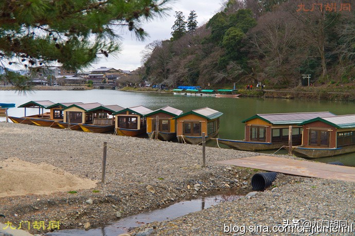 京都岚山风景区在哪,京都岚山樱花