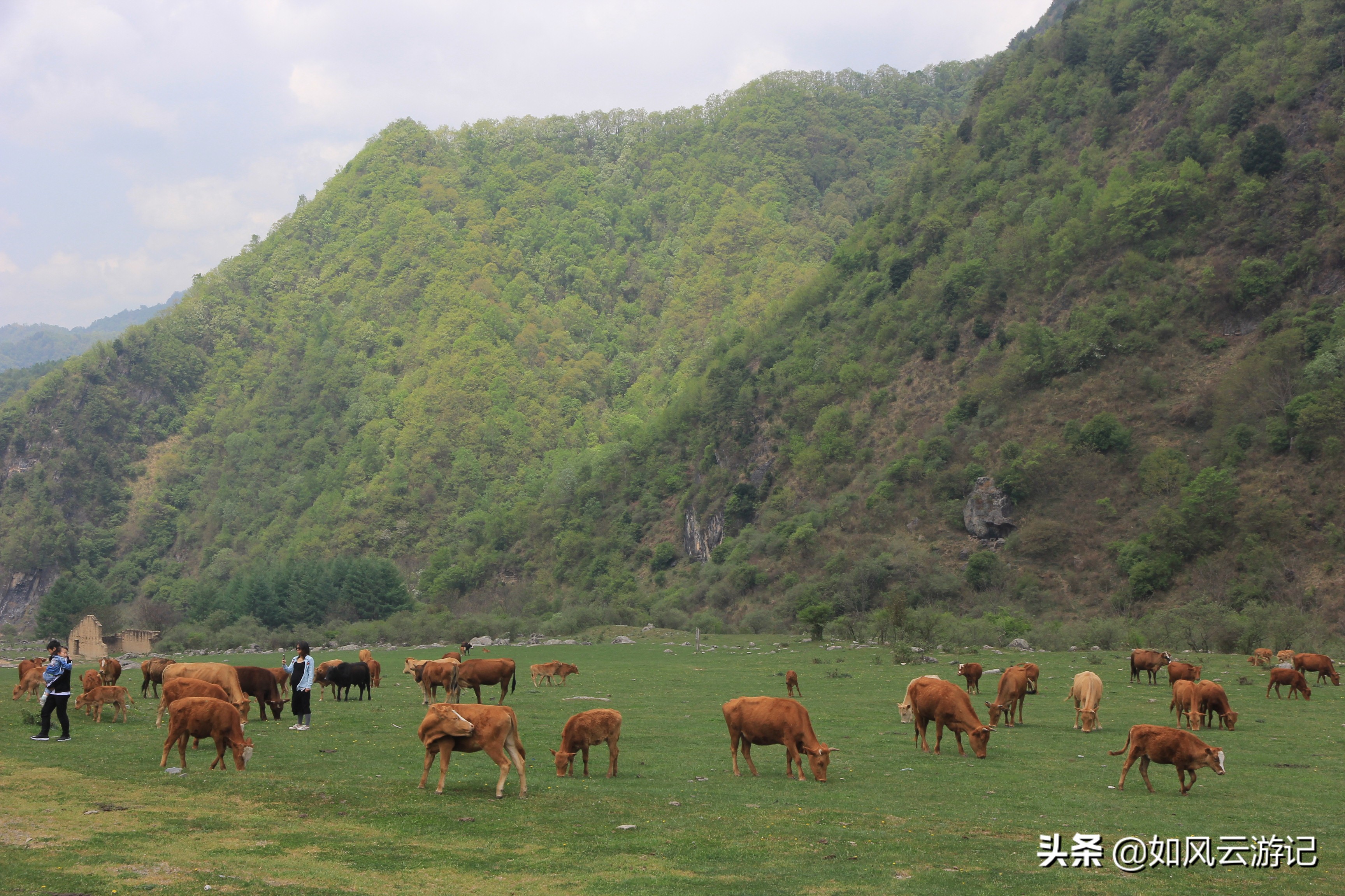 这条连云栈道“弓背线”火烧店—庙台子奇景传说诸多，闺藏深山中