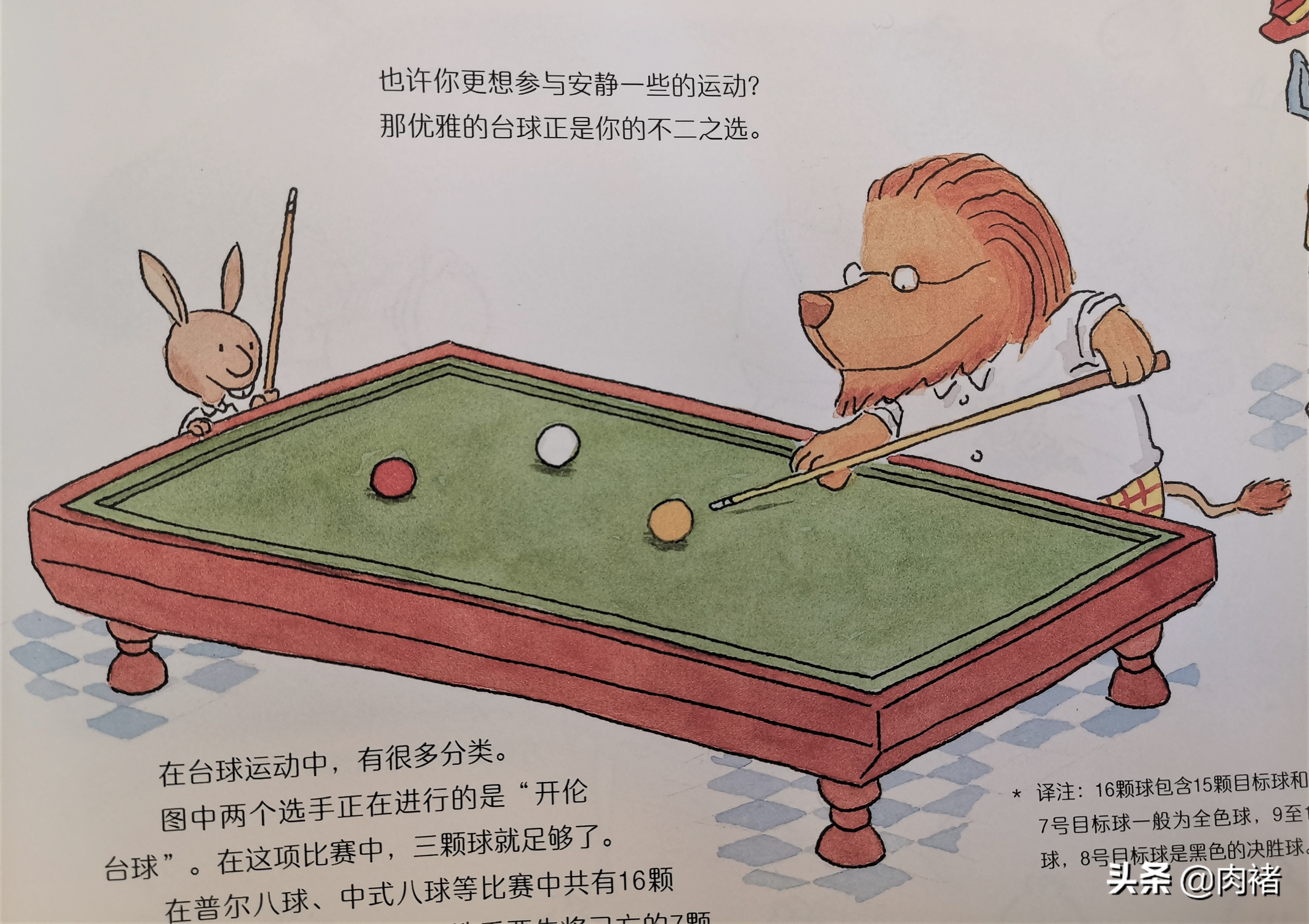 让孩子发现运动的乐趣并爱上运动,蠢萌动物