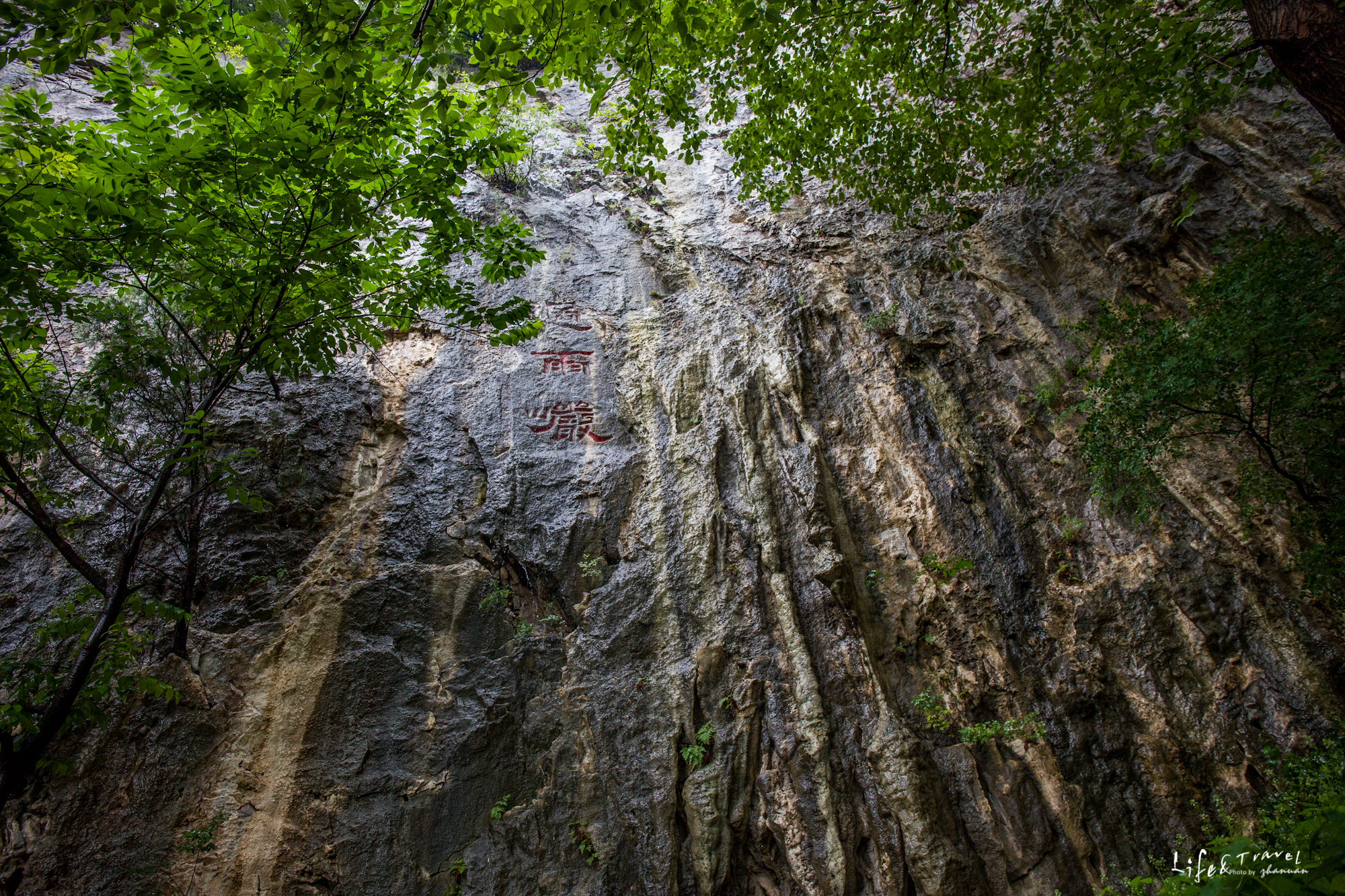 淄博看红叶的免费景点,淄博看红叶不用爬山的免费景区