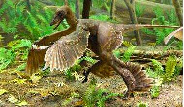 恐龙的特征和恐龙的外形特点,4-6厘米的六角恐龙长啥样