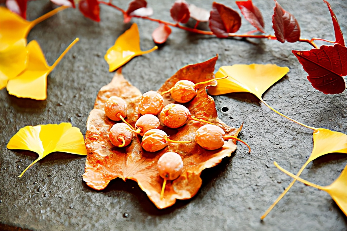 100种最毒的毒花,20种有毒的大毒花