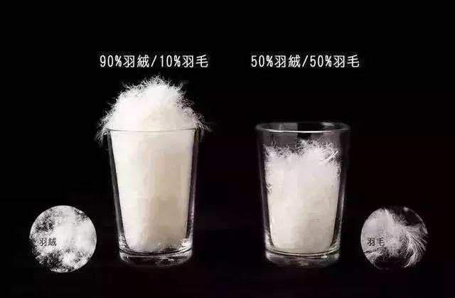 广东的羽绒服怎么穿保暖,在广州冬天穿什么羽绒服最合适