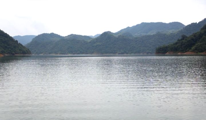 在合肥也能吃到地道的重口味,合肥好吃的鱼头1912