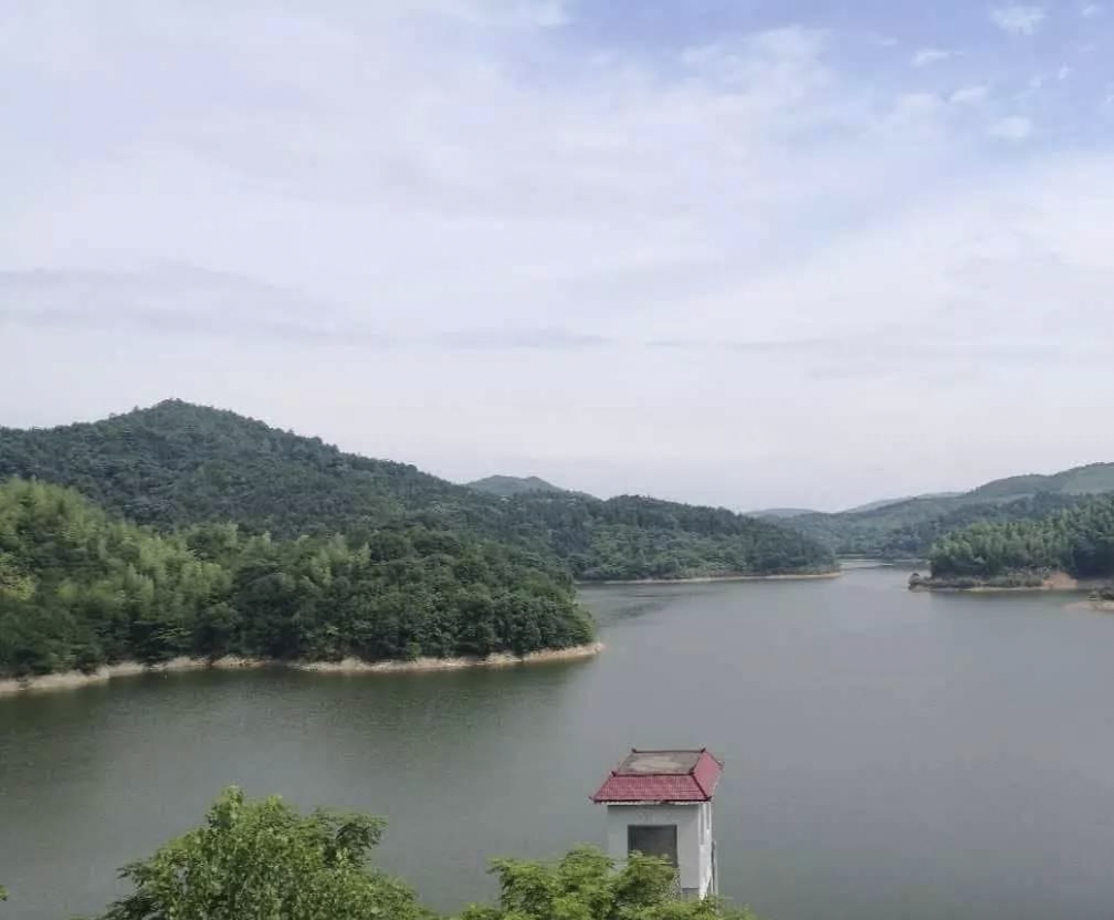 出租养殖鱼塘一亩要多少钱,农村无人看管养殖鱼塘