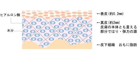 颈纹怎么消除显老,用什么方法去颈纹30年的颈纹最好