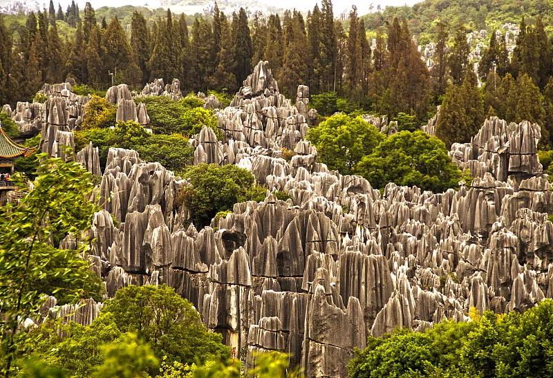 去云南人生感悟,来到云南才知道什么是云