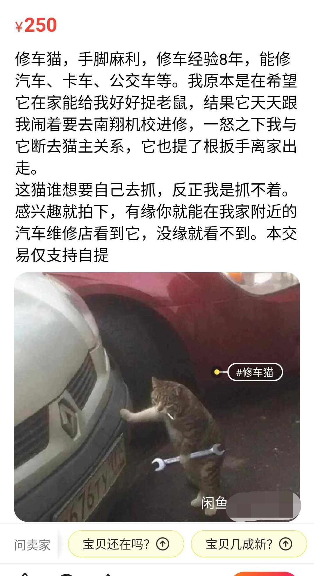 怀疑有人进行非法交易可以报警吗,怀疑有人进行非法交易