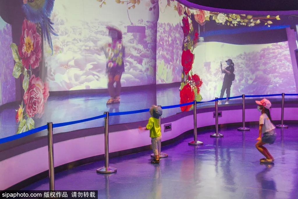 全球最美十大花海美到令人心醉,全球最漂亮花海