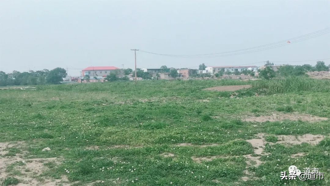 小淀，距离“踮起”脚尖还要多久？