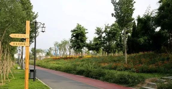 潍坊最美环山公路,潍坊市最美绿道