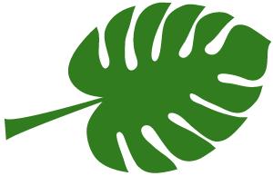 陈飞教说闽南话167期,陈飞教你讲闽南话