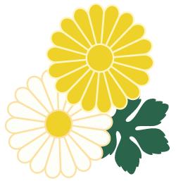 小孩近视中医怎么调理,中医穴位调理近视