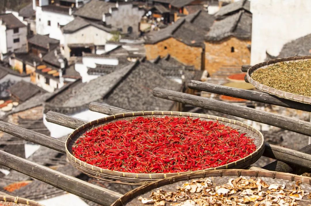 今日重阳节,今日重要新闻30条