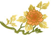 缺铁性贫血药补好还是食补好,贫血严重是采用食补还是药补