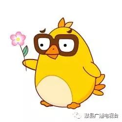 沧州最近有哪些事业单位招聘,沧州事业单位招聘82人