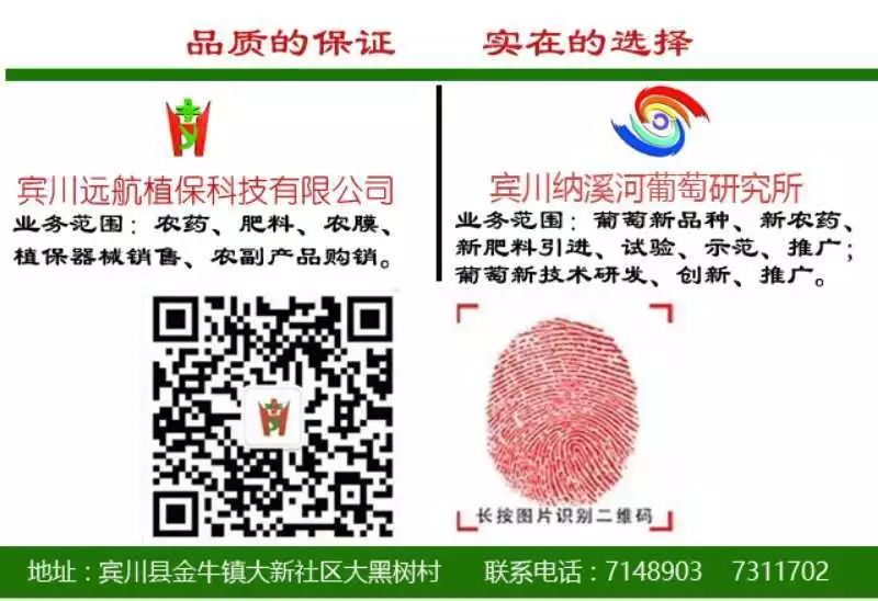 宾川县城加油,宾川加油站活动