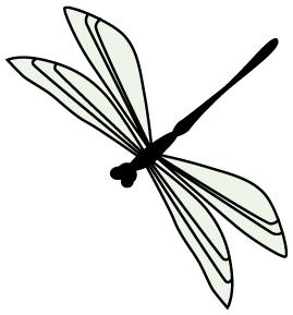 溧阳生活,溧阳农村真实生活