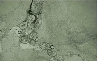 带你声临其境探索宇宙,带你探索维度空间