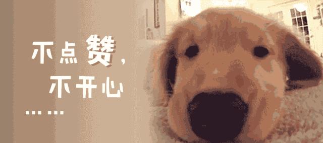 预产期到了有哪些明显症状,预产期到了该怎么办