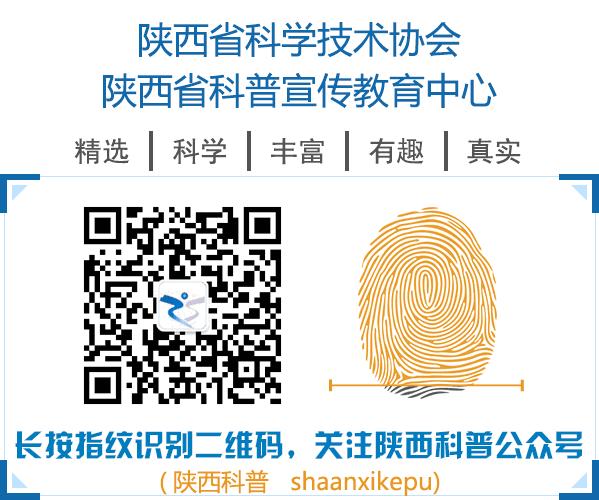 全国科普日科普之夜,科普日专题